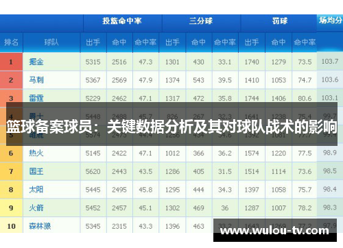 篮球备案球员：关键数据分析及其对球队战术的影响